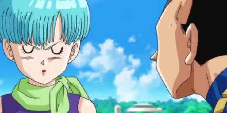 Dragon Ball 10 Worst Things About Vegeta & Bulmas Relationship Dragon Ball 10 Worst Things About Vegeta & Bulmas Relationship